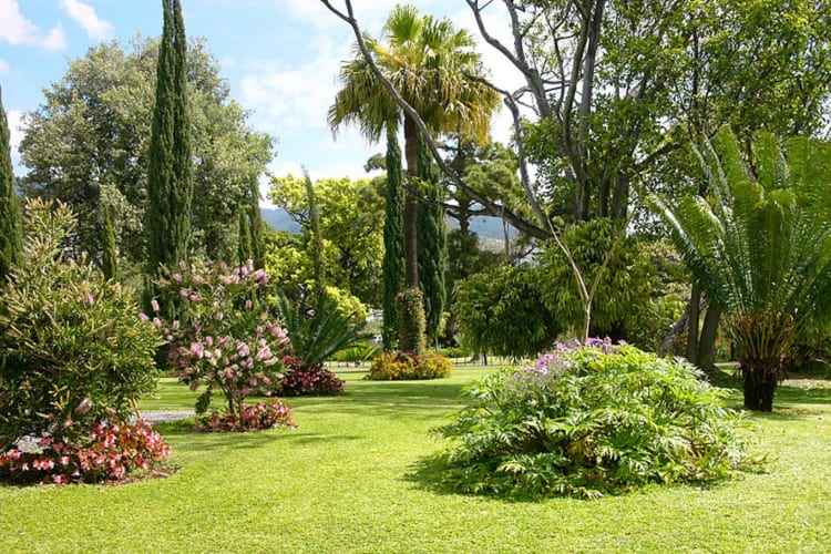 Hotel gardens